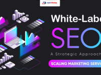 Improve Search Engine Performance with DC SEO Experts