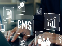Best CMS for SEO: A Complete Guide to Choosing the Right Platform